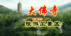 免费插逼视频应用中国浙江-新昌大佛寺旅游风景区
